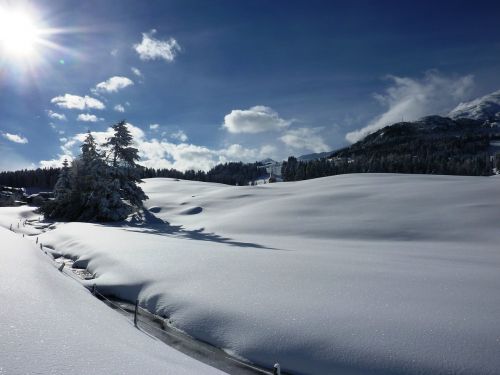 Žiema, Sniegas, Žiemą, Šaltas, Kraštovaizdis, Snieguotas, Žiemos Šaltis, Šveicarija, Graubünden, Parpan, Gamta, Medis