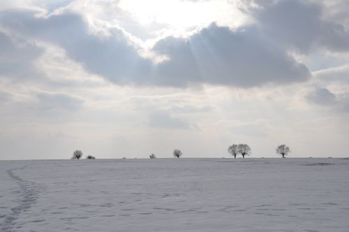 Žiema, Sniegas, Šaltis, Laukas