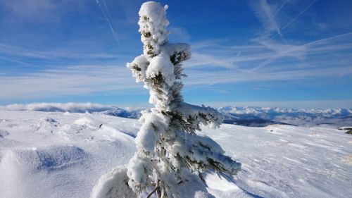 Žiema, Kalnai, Sniegas, Austria, Žiemą, Alpių, Slidinėjimo Trasa
