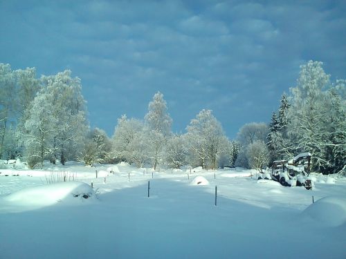 Žiema, Miškas, Sniegas, Sniego Kraštovaizdis