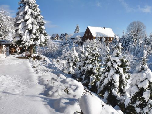 Žiema, Saupsdorf, Saksonijos Šveicarija, Žiemą, Balta, Šaltas