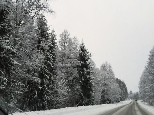Žiema, Kelias, Sniegas, Miškas, Medis, Metų Laikas, Švedija, Žiemos Peizažas