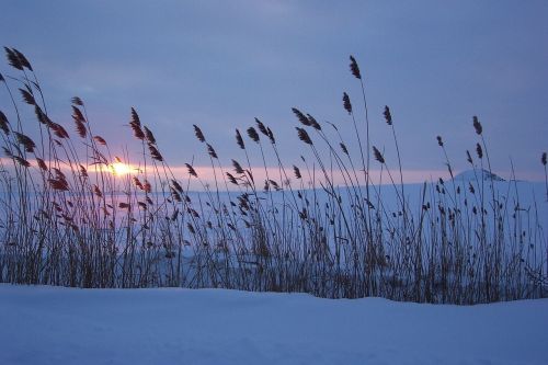Žiemos,  Sniegas,  Saulėlydžio,  Abendstimmung,  Austria Niederhollabrunn,  Vakarinis Dangus