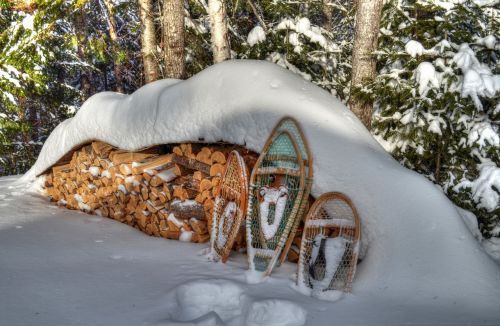 Žiema, Snowshoes, Sniegas, Mediena