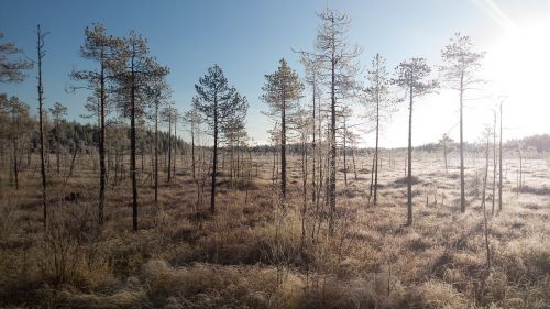 Žiema,  Saulė,  Kraštovaizdis,  Finland