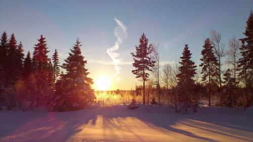 Žiema,  Saulės Energija,  Sniegas,  Peizažai,  Västerbotten,  Kaime