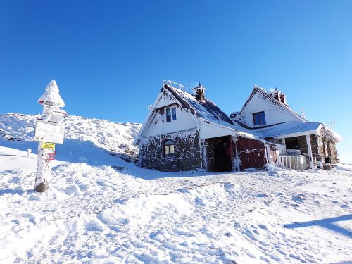 Žiema,  Miškas,  Sniegas,  Šaltis,  Kraštovaizdis,  Turizmas,  Panorama,  Bieszczady,  Slides,  Saulėtas,  Žygiai,  Šventė,  Pėsčiųjų Takai,  Vaizdas Iš Viršaus,  Ledas,  Saulė,  Lenkija,  Dangus,  Balta,  Medis,  Žiemą Kalnuose,  Gamta,  Kalnai,  Biel,  Vaizdas,  Kalnas,  Viršūnės,  Stok,  Takas,  Kalnų Galia,  Jaunimas,  Kalnų Grožis