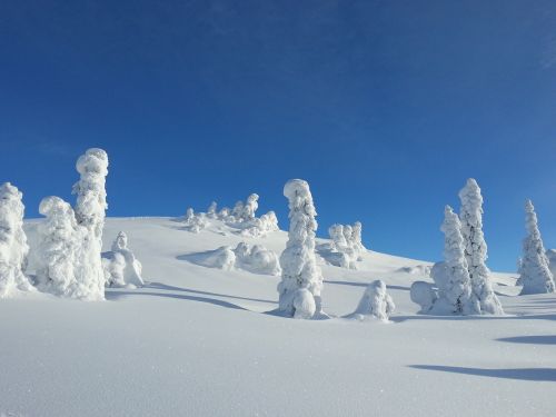 Žiema, Sniegas, Medžiai, Norvegija, Kvitfjell, Šaltas, Žiemos Fone, Žiemos Peizažas, Žiemos Atostogos