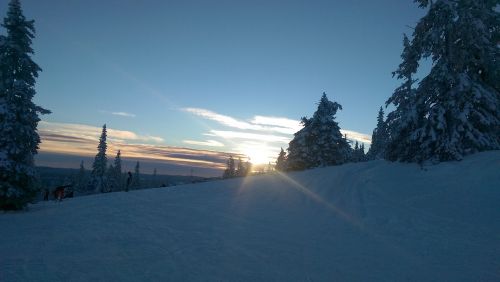 Žiema, Saulėlydis, Mėlynas Dangus, Kraštovaizdis, Norvegija, Trysil, Šaltis, Šaltas, Sniegas