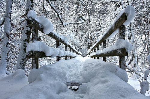 Žiemos Miškas, Sniegas, Tiltas