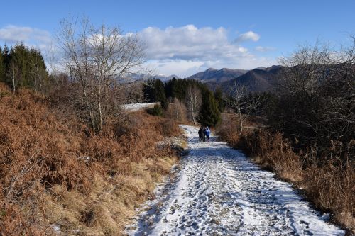 Žiemos Peizažas, Kraštovaizdis, Kalnas, Žiema, Šaltas, Sniegas