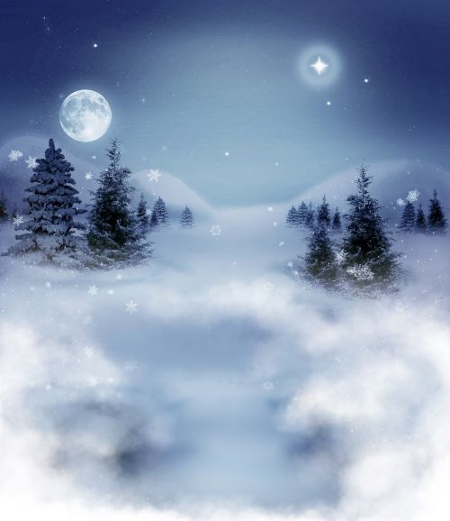 Žiema,  Kraštovaizdis,  Dangus,  Medžiai,  Grožis,  Sniegas,  Žiemos Peizažas