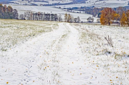 Žiema,  Sezonas,  Sniegas,  Kraštovaizdis,  Kelionė,  Šventė,  Fonas,  Drobė,  Čekija & Nbsp,  Respublika,  Highland,  Medžiai,  Medis,  Kalnas,  Šaltis,  Padengti,  Balta,  Gamta,  Laukas,  Kelias,  Žiemos Peizažas