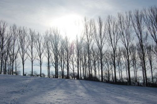 Žiemos Peizažas, Sniegas, Gamta