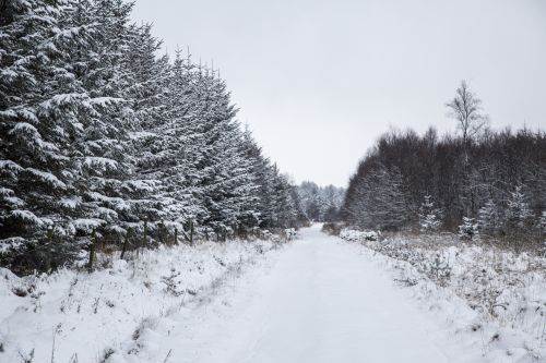 Kelias,  Sniegas,  Žiema,  Uk,  Kraštovaizdis,  Ne & Nbsp,  Žmonės,  Šalta & Nbsp,  Temperatūra,  Dangus,  Suvirinimo & Nbsp,  Kelio,  Horizontalus,  Medis,  Mėlynas,  Krūmas,  Skalauti,  Alėja,  Filialas & Nbsp,  - & Nbsp,  Augalas & Nbsp,  Dalis,  Spalvotas & Nbsp,  Vaizdas,  Žolė & Nbsp,  Pečių,  Žiemos Kelias