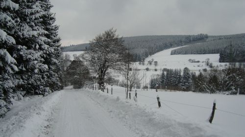 Winterberg, Sniegas, Kraštovaizdis, Žiema, Vokietija, Bėgimas Slidėmis