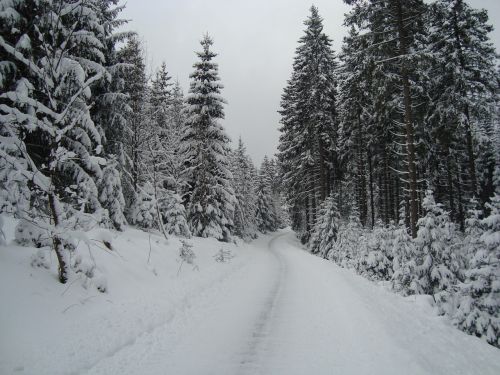 Winterberg, Vokietija, Sniegas, Bėgimas Slidėmis, Žiema, Kraštovaizdis