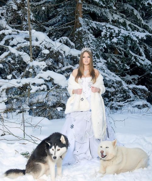 Žiemos, Šuo, Sniegas, Moteris, Suknelė, Modelis, Balta Suknelė