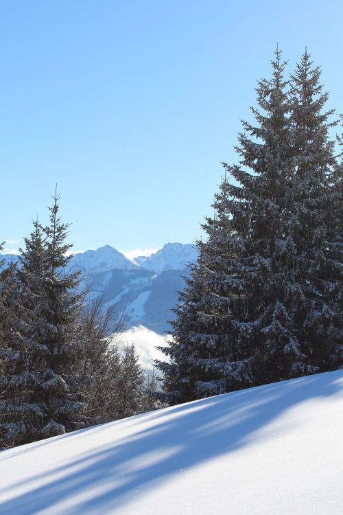 Žiemą, Sniegas, Allgäu, Žygiai, Saulė, Mėlynas Dangus, Šaltas