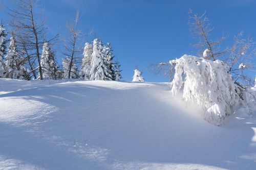 Žiemą, Sniegas, Kalėdos, Gruodžio Mėn ., Snieguotas Miškas