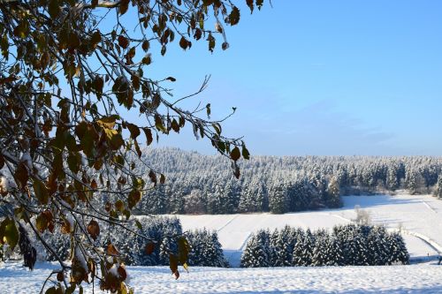Žiemą, Hohegeiß, Sniegas, Panorama, Perspektyva