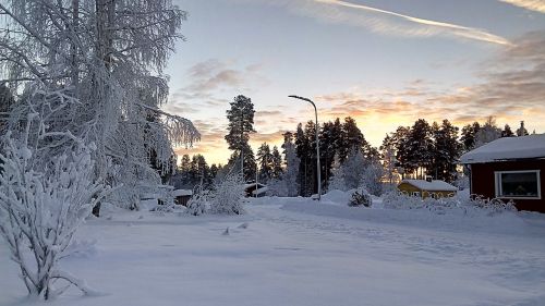 Žiemą, Laplandas, Švedija, Snieguotas, Šaltas