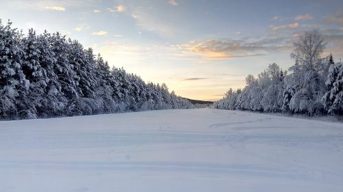 Žiemą, Laplandas, Švedija, Sniego Kraštovaizdis