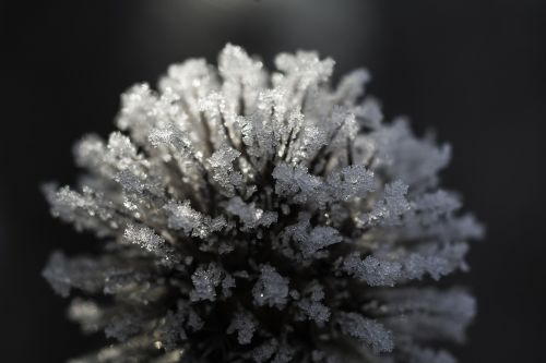 Žiemą, Šaltis, Šaltas, Eiskristalio, Gamta, Ledinis Modelis