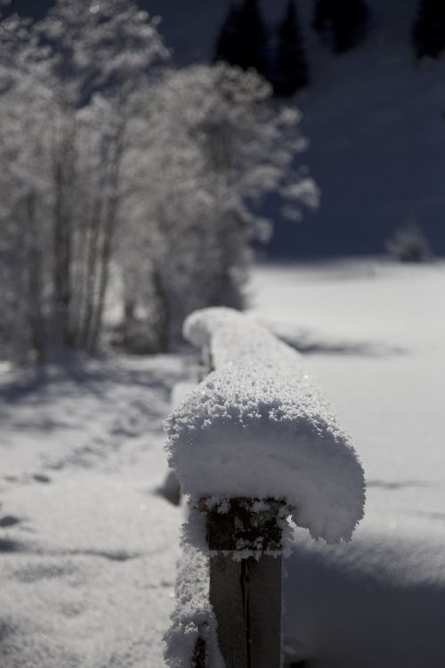 Žiemą, Sniegas, Snieguotas, Gamta, Wipptal-Valsertal