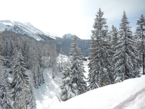 Žiemą, Davos, Graubünden