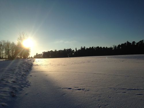 Žiemą, Gamta