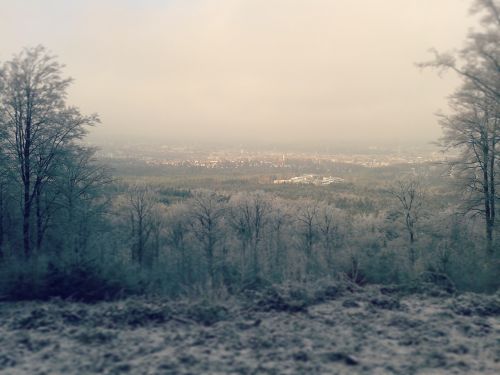 Žiemą, Kaiserslautern, Sniegas, Šaltis, Vaikščioti