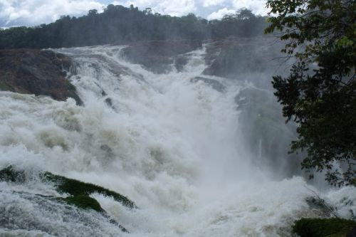 Krioklys,  Upė,  Caura,  Venezuela,  Atostogos,  Vaizdas,  Krioklys