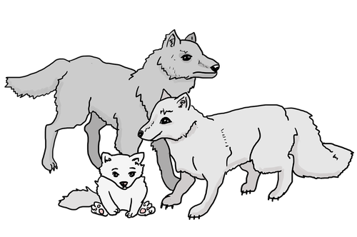 Vilkai,  Wolf Pack,  Vilkas,  Cub,  Šeima,  Žvėris,  Gyvūnai,  Laukinių,  Laukiniai Gyvūnai,  Vilkas Šeimos,  Animacinis Filmas,  Piešimo,  Free Brėžiniai,  Nemokama Iliustracijos