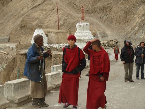Moteris, Vienuolė, Indija, Ladakh