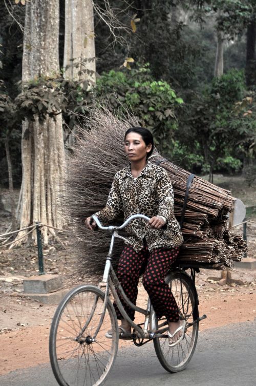 Moteris, Dviratis, Asija, Angkor, Kambodža