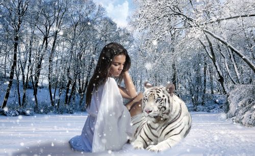 Moteris, Tigras, Sniegas, Žiema, Gamta, Jausmai, Atrodo, Vaizduotė, Medžiai, Miškas, Tapetai, Apdorojimas, Fonas, Planą