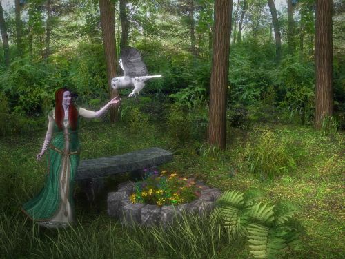 Moteris, Miškas, Erelis Pelėda, Gamta, Kraštovaizdis, Magija, Viduramžiai, Ragana, Medžiai, 3D