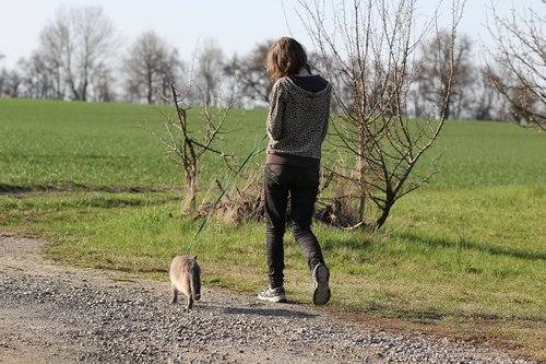 Moteris,  Katė,  Vaikščioti,  Pobūdį,  Pavasaris,  Gyvūnų Santykiai