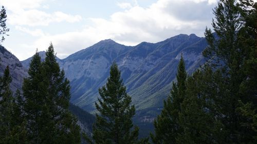 Mediena, Kalnas, Kanada, Banff, Uolos
