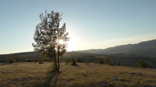 Mediena, Vasara, Kraštovaizdis