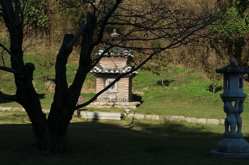 Mediena,  Lauke,  Pobūdį,  Žolė