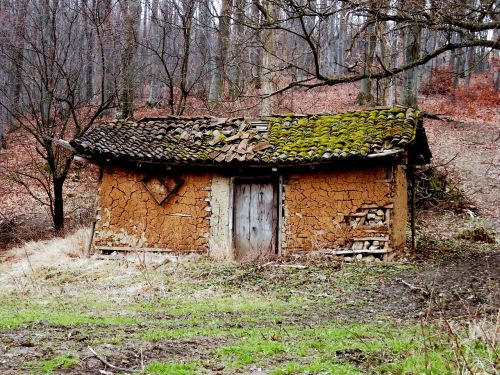 Miškai, Kajutė, Paliktas, Serbija, Retro, Senas Namas, Vintage, Kaimiškas, Būstas