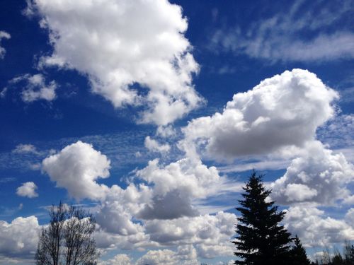 Dangus,  Debesys,  Aiškus & Nbsp,  Mėlynas,  Vajomingas,  Wyoming Dangus