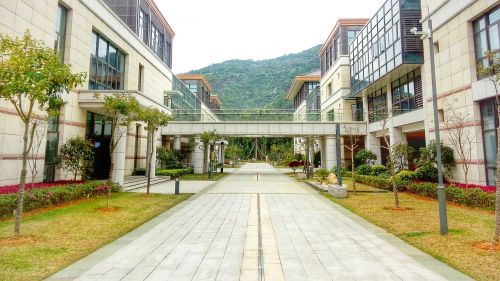 Xin Hua Verslo Mokykla, Centrinė Ašis, Mokykla