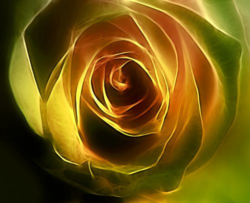 Rožė,  Geltona,  Gamta,  Gėlė,  Minkštas,  Žiedlapiai,  Poveikis,  Tekstūra,  Geltona Rožė 2