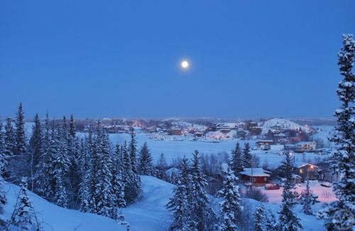 Yellowknife, Šiaurės Vakarų Teritorijos, Žiema, Naktis, Kanada, Mėnulis, Sniegas, Medžiai