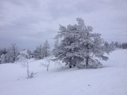 Ylläs, Laplandas, Sniegas