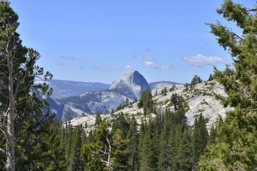 Josemitas, Kalifornija, Kalnas, Nacionalinis, Miškas, Amerikietis, Vaizdingas, Orientyras, Lauke, Granitas, Kupolas, Atostogos, Turizmas, Uolos, Piko, Formavimas, Akmuo, Grand, Viršuje, Didingas, Peizažas, Alpinizmas, Aukštas, Vaizdas, Diapazonas, Reljefas, Aukštis, Ekstremalios, Kelionės Tikslas, Kraigas, Didžioji Siena, Uolingas, Pakilti, Pakilti, Pritraukimas, Rieduliai, Plato, Geologinis, Milžinas, Milžiniškas, Didelis, Nuolydis, Dantyta Grynas, Tvirtas, Žemė, Dykuma, Pakilimas, Aukščiausiojo Lygio Susitikimas, Miškas, Medžiai