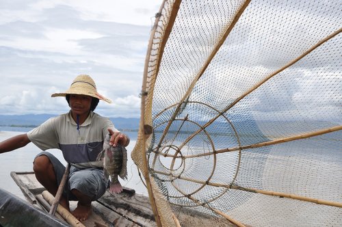 Jauna,  Žvejys,  Nasse,  Ežeras,  Mianmaras